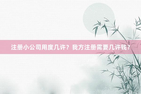 注册小公司用度几许？我方注册需要几许钱？